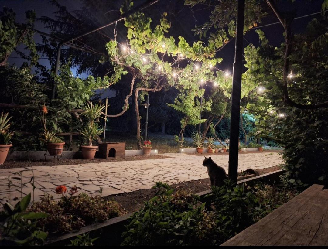 Вилла Etna, Salvia E Rosmarino Maletto Экстерьер фото